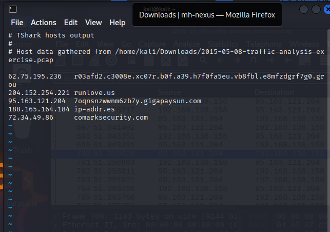 Wireshark screenshot 3